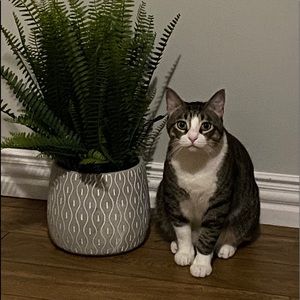 Meet your Posher, Diana